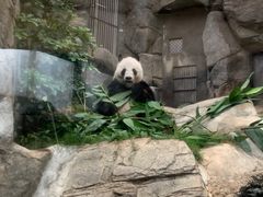 -香港海洋公园