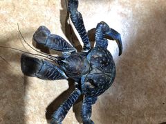 -北马里亚纳群岛博物馆