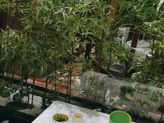 -国味壹号·精品湘菜·宴请佳选(新天地店)