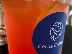 -Cetus coffee鲸鱼座咖啡·拼豆(二仙桥公园店)