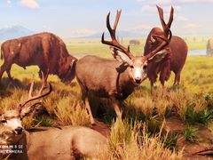 -陕西自然博物馆