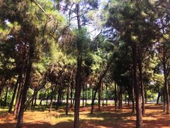 -艾溪湖湿地公园