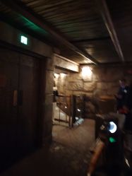 -翱翔飞越地平线