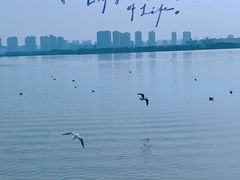 -无锡蠡湖国家湿地公园-蠡园