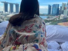 -新加坡瑞士史丹福酒店