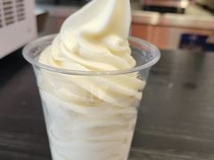 -萨朗刀克冰淇淋雪花凉(植物园店)