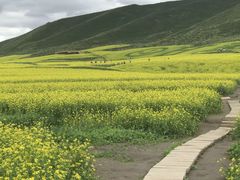 -扁都口生态休闲旅游区