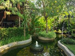 -DOI CHAANG Caffè Maesuai