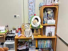 -爱妮康宠物医院·干细胞免疫细胞·肿瘤·心脏(张江店)