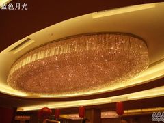 35超豪华的宴会厅顶灯-金陵山水丽景酒店-中餐厅