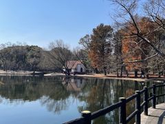 -绿荫坊餐厅(共青森林公园店)