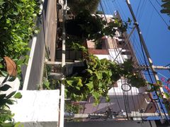 -Tikky Cafe