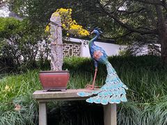-杭州植物园