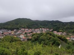 -军营村