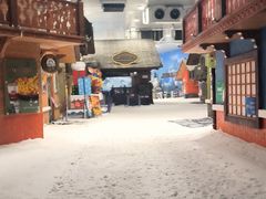 -湘江欢乐城欢乐雪域