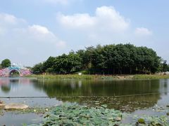 -映月湖公园