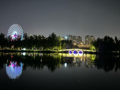 -洋湖国家湿地公园