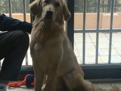 -骐奇宠物诊疗中心(南亭公路店)