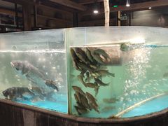 -丹江渔村(首都机场店)