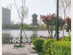 -迎泽公园