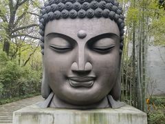 -杭州植物园