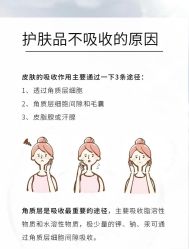 -玛莲朵·海菲秀冰珀科