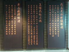 -广东中医药博物馆