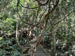 -七仙岭温泉国家森林公园