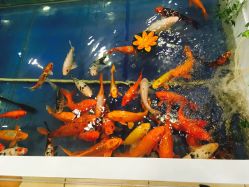 -万达宝贝王(南昌西湖店)