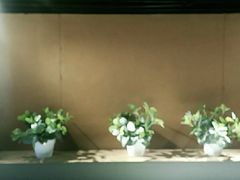 -回声星球·团建策划·赛事承办·拓展培训(大钟寺店)