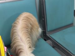 -嘉馨宠物医院·CT影像转诊·心脏科·犬猫全科诊疗中心(下沙大学城院区)