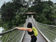 -铁山坪森林公园