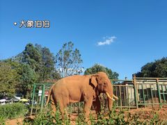 -昆明动物园