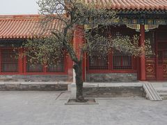 -故宫博物院(故宫)