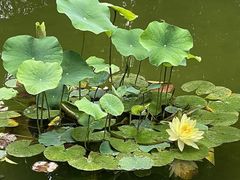 -常州古运河南大街文化旅游区-人民公园