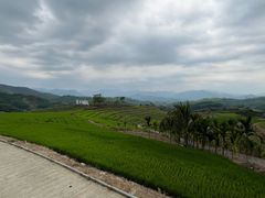 -牙胡梯田