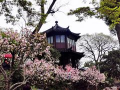 -山塘街