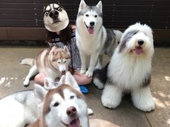 -TrueLove @ Neverland (Husky Cafe)