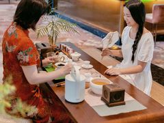 -成都保利公园皇冠假日酒店(熊猫基地店)