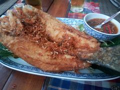 -卷心菜和避孕套餐厅(Pattaya)