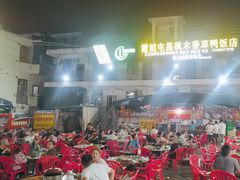 -霞姐屯昌枫木香草鸭店(海螺店)