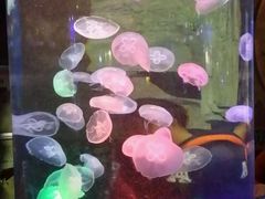 -泉城欧乐堡海洋极地世界
