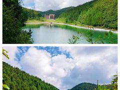 -武陵山森林公园