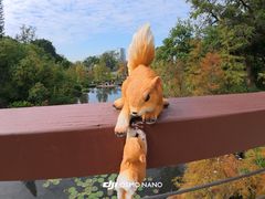 -云溪植物园