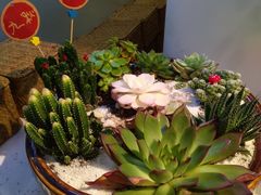-九秋茶铺(三里屯店)