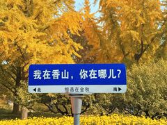 -香山公园
