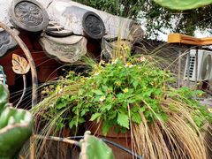 -至尚形象·化妆服饰搭配礼仪培训