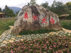 -广州市流溪河国家森林公园