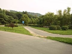 -狮麟驾校