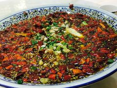 -西木兔(大圆祥店)